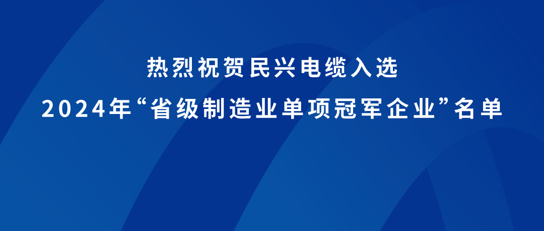 龙8头号玩家
荣获广东省制造业单项冠军！